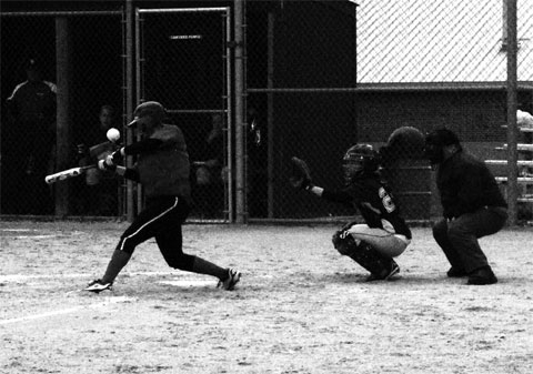Falcons softball splits first games with UWEC